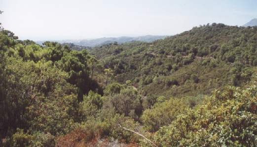 Rustic Plot 95000 m2. The beautiful unspoilt countryside around The Farm. Outstanding views. Estepona.