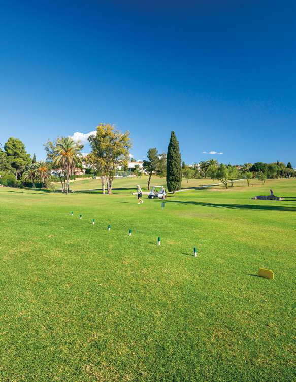 Independent access, Private pool and garden, 4 parking. Absolutely wonderful Penthouse. Benahavis.