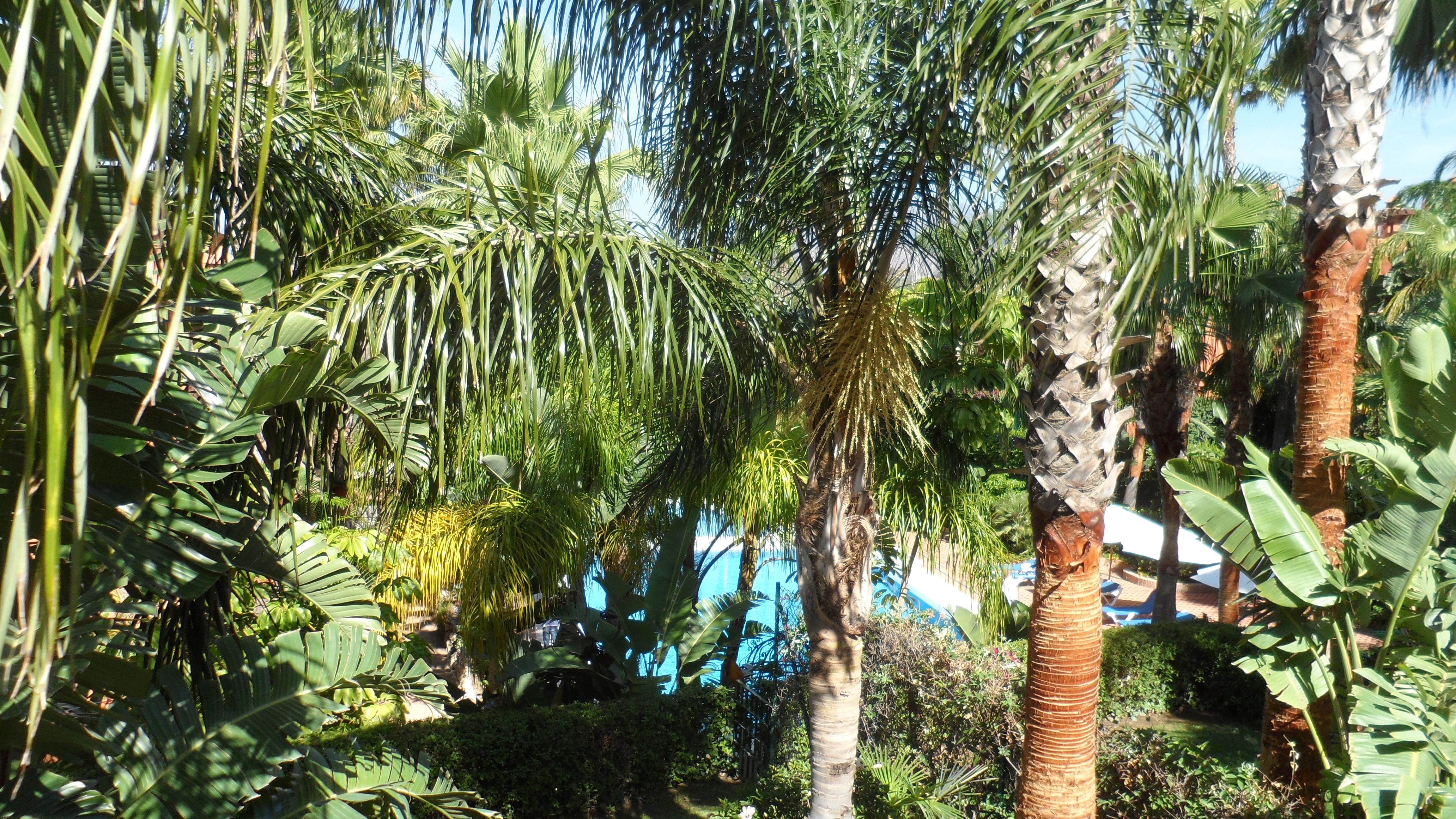 Fem parkeringspladser, elevator. Hus på Golden Mile, Marbella, med privat have, pejs og solarium med grill.