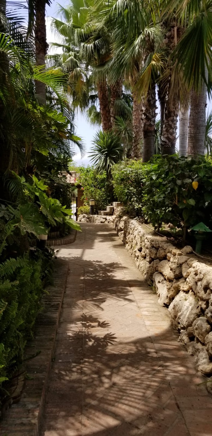 Fem parkeringspladser, elevator. Hus på Golden Mile, Marbella, med privat have, pejs og solarium med grill.